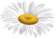 pondicherry spa centre